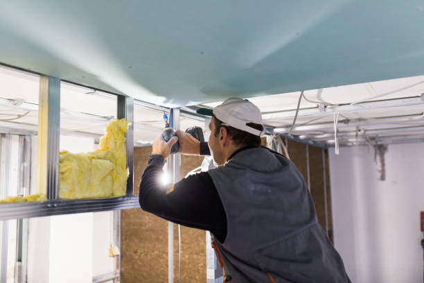 Best Residential Insulation in Farragut, TN